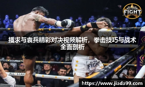 播求与袁兵精彩对决视频解析，拳击技巧与战术全面剖析